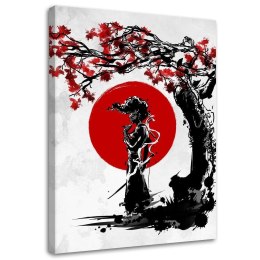 Samurai - Sumi-e (obraz tuszem) / Solo (fizelina)