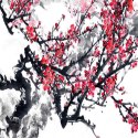 Parawan 'Subtelna japońska wiśnia' (Rozmiar: 110 x 170 cm)
